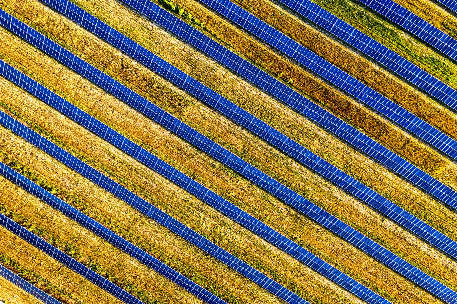 Aerial view of solar module rows at a utility-scale PV plant
